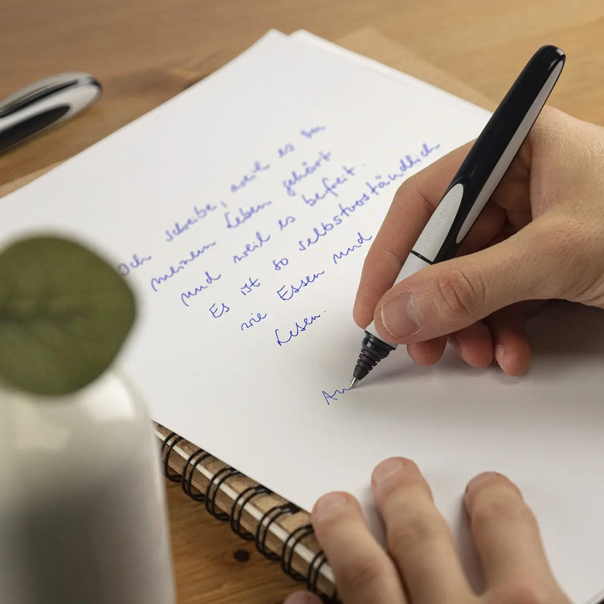 Schneider Ray Rollerball Pen M (15.2cm / 6in) | Smooth Hybrid Ink Flow - view 5