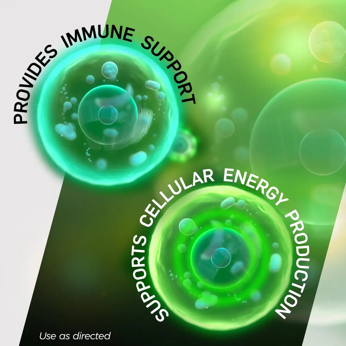 Shot B Multivitamin Complex, B-Energy, 60 Tablets | Supports Energy & Immunity - view 4