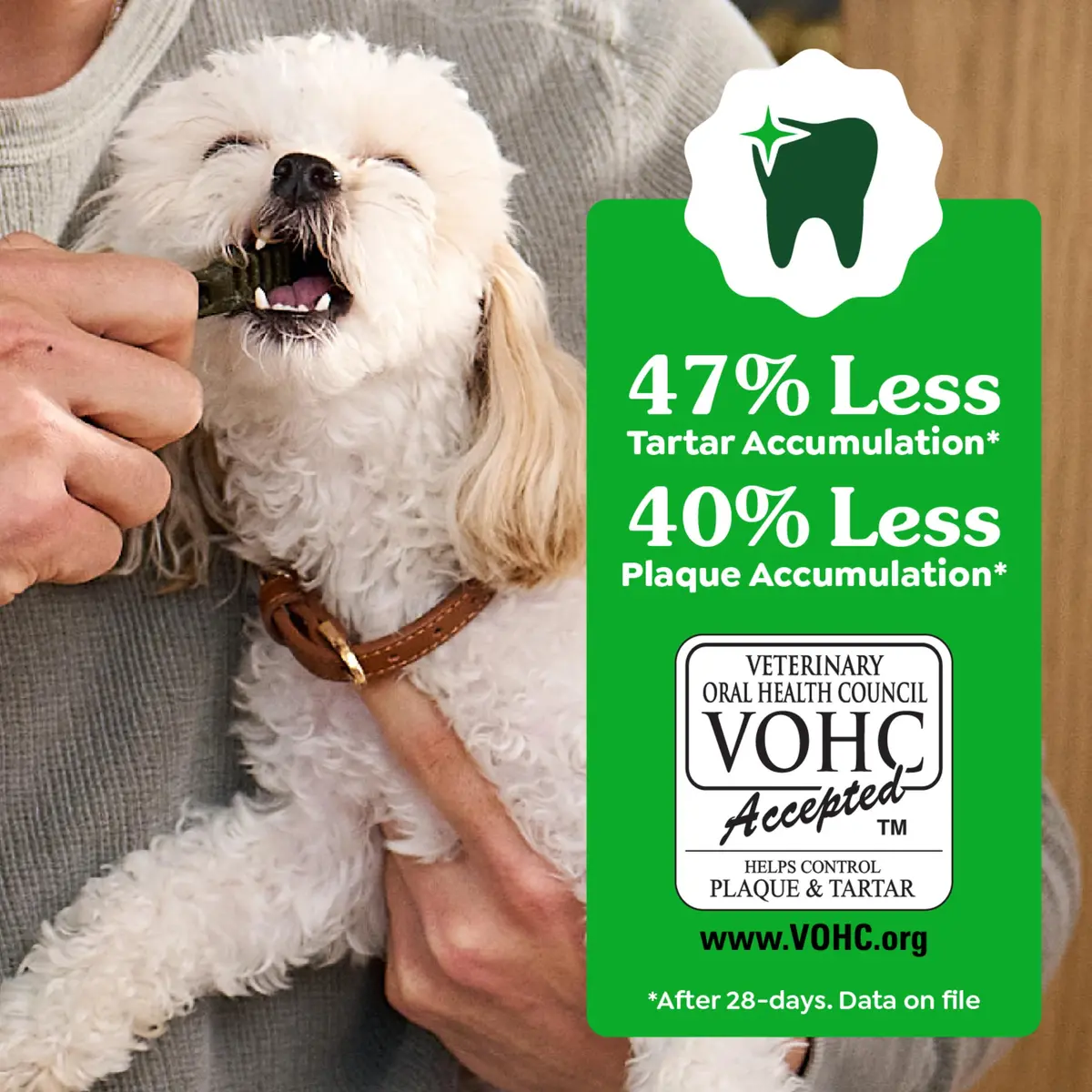 Greenies Teenie Original Natural Dental Dog Treats, Chicken, 260 Count (Pack of 4) | Vet-Recommended Dental Care for Small Dogs - view 5
