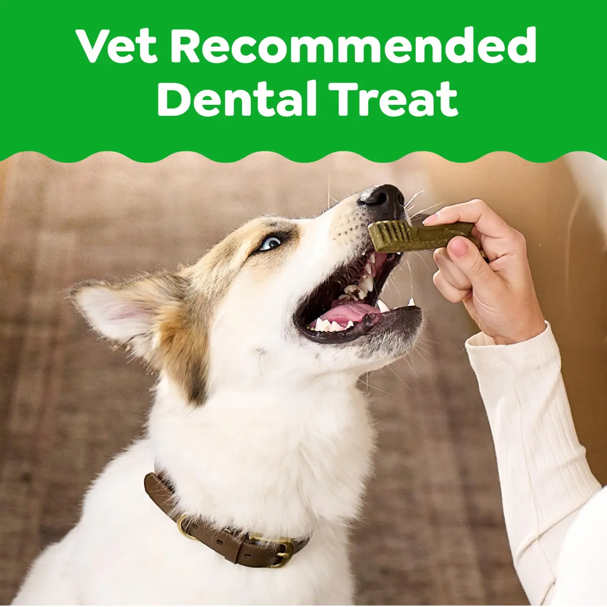 Greenies Teenie Original Natural Dental Dog Treats, Chicken, 260 Count (Pack of 4) | Vet-Recommended Dental Care for Small Dogs - view 2