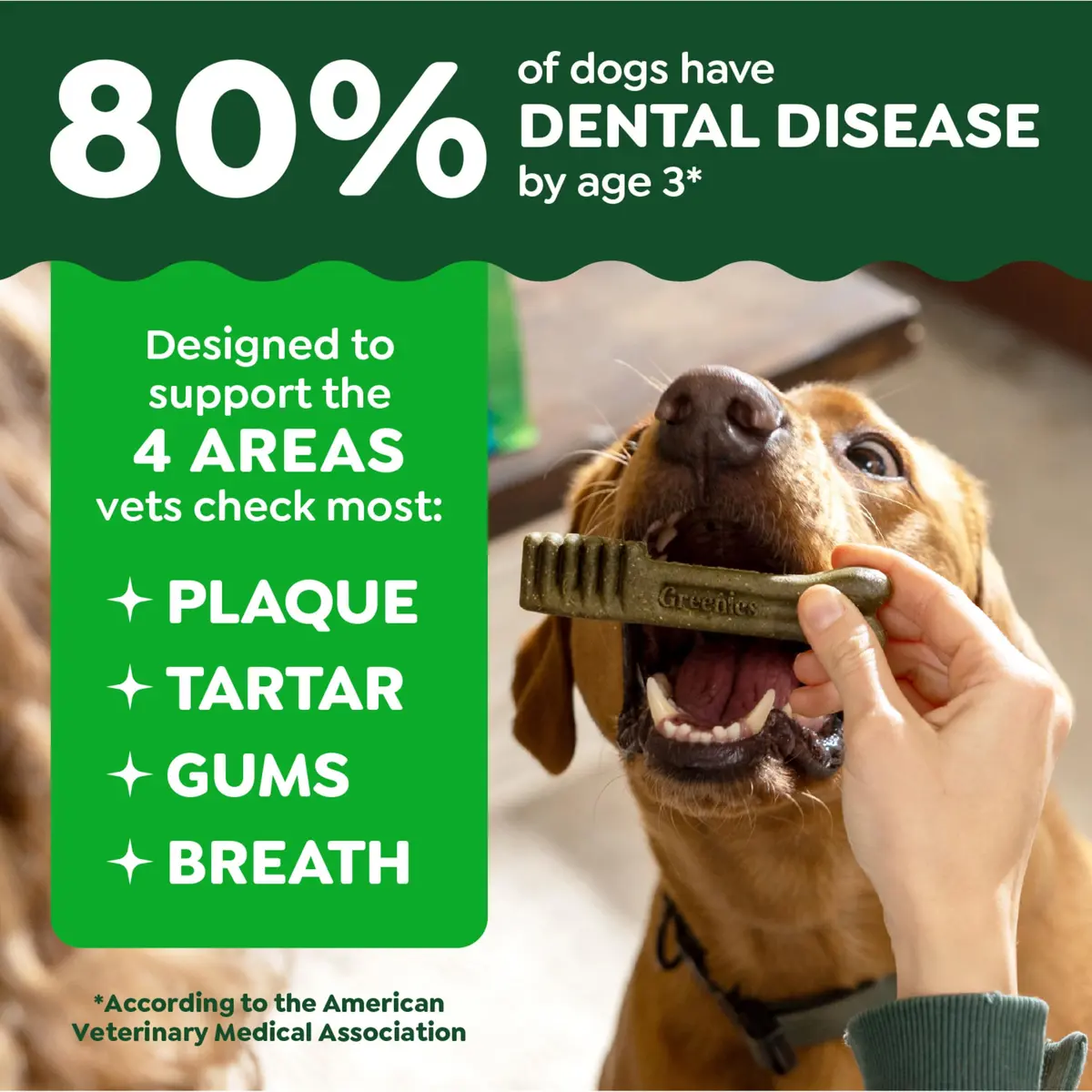 Greenies Teenie Original Natural Dental Dog Treats, Chicken, 260 Count (Pack of 4) | Vet-Recommended Dental Care for Small Dogs - view 3