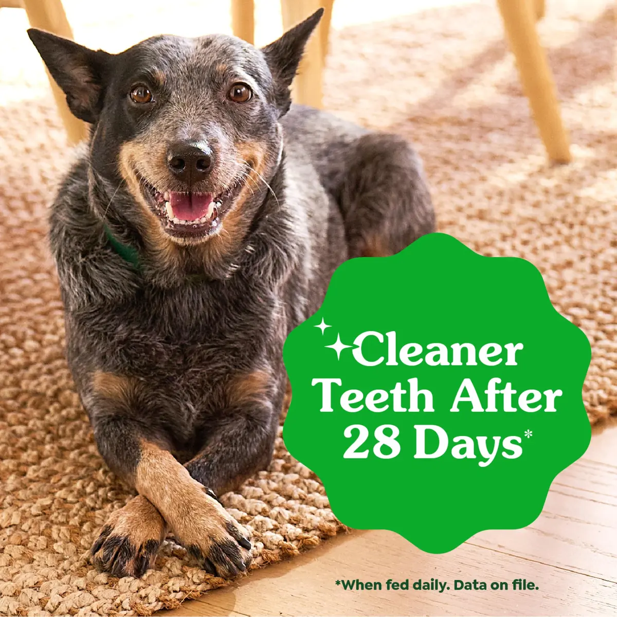Greenies Teenie Original Natural Dental Dog Treats, Chicken, 260 Count (Pack of 4) | Vet-Recommended Dental Care for Small Dogs - view 4