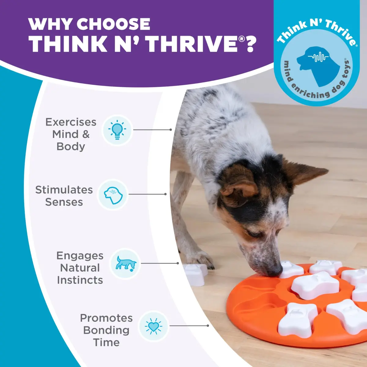 Outward Hound Nina Ottosson Dog Smart Treat Puzzle 28.6cm (11") | Beginner Level Interactive Dog Toy - view 6