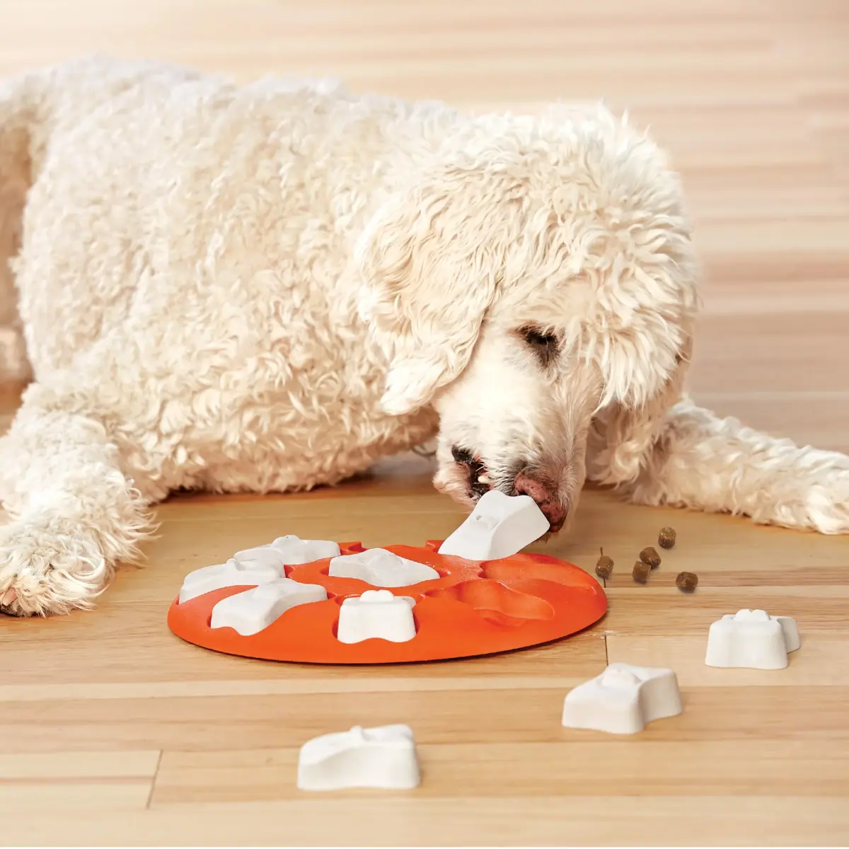 Outward Hound Nina Ottosson Dog Smart Treat Puzzle 28.6cm (11") | Beginner Level Interactive Dog Toy - view 8