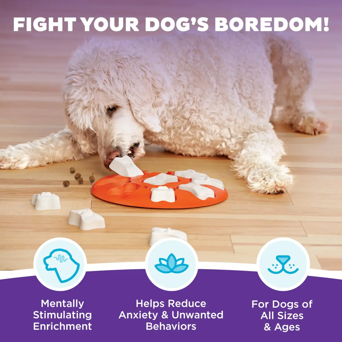 Outward Hound Nina Ottosson Dog Smart Treat Puzzle 28.6cm (11") | Beginner Level Interactive Dog Toy - view 2
