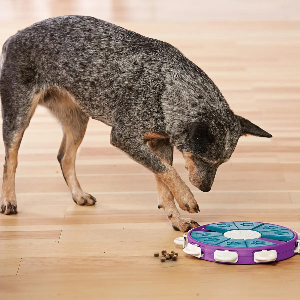 Outward Hound Nina Ottosson Dog Twister Treat Puzzle 11.8" (30cm) | Advanced Level 3 Dog Toy for Mental Stimulation - view 8