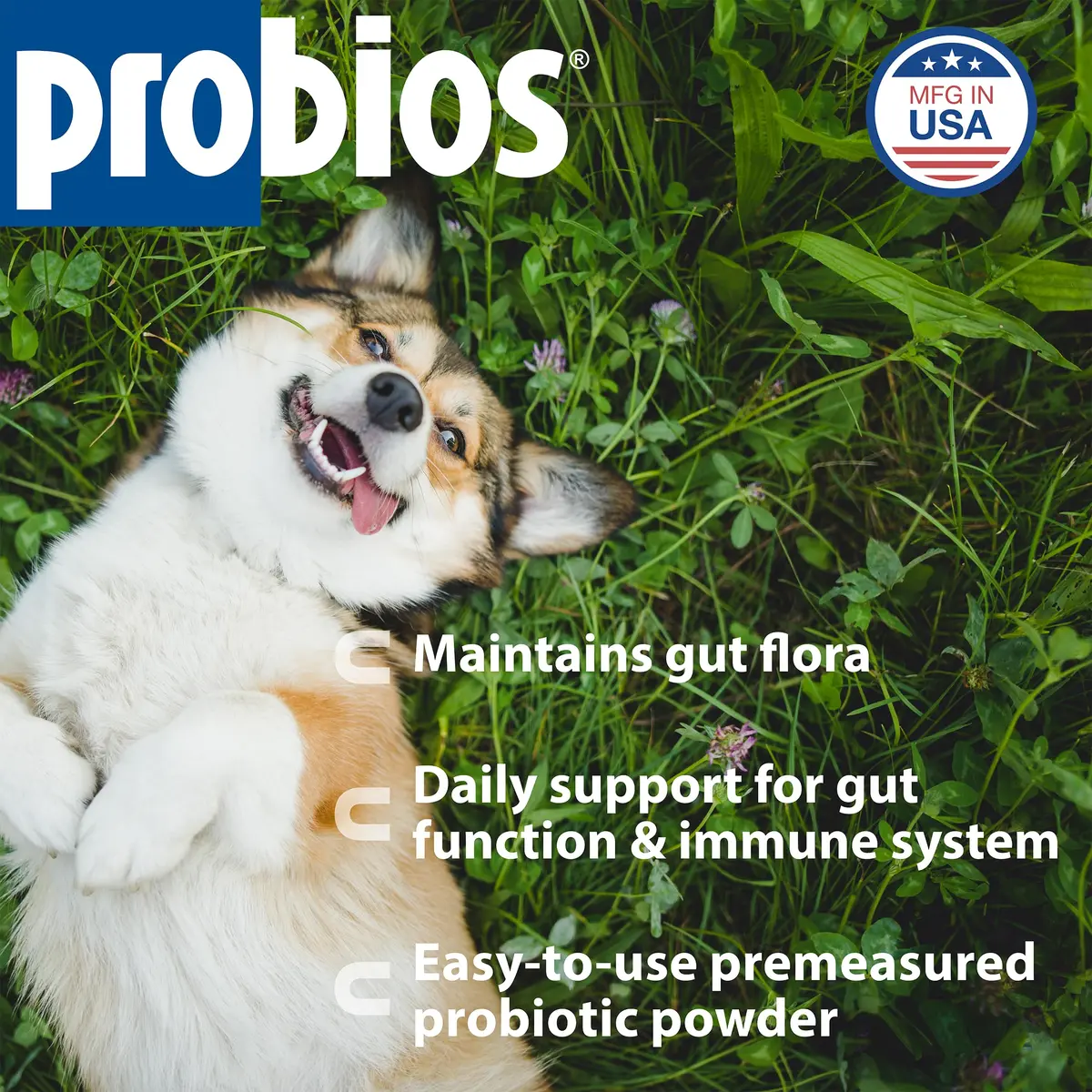 Probios Dog Probiotic Tablets, Chicken Liver, 45 Count | Supports Digestive & Immune Health - view 2