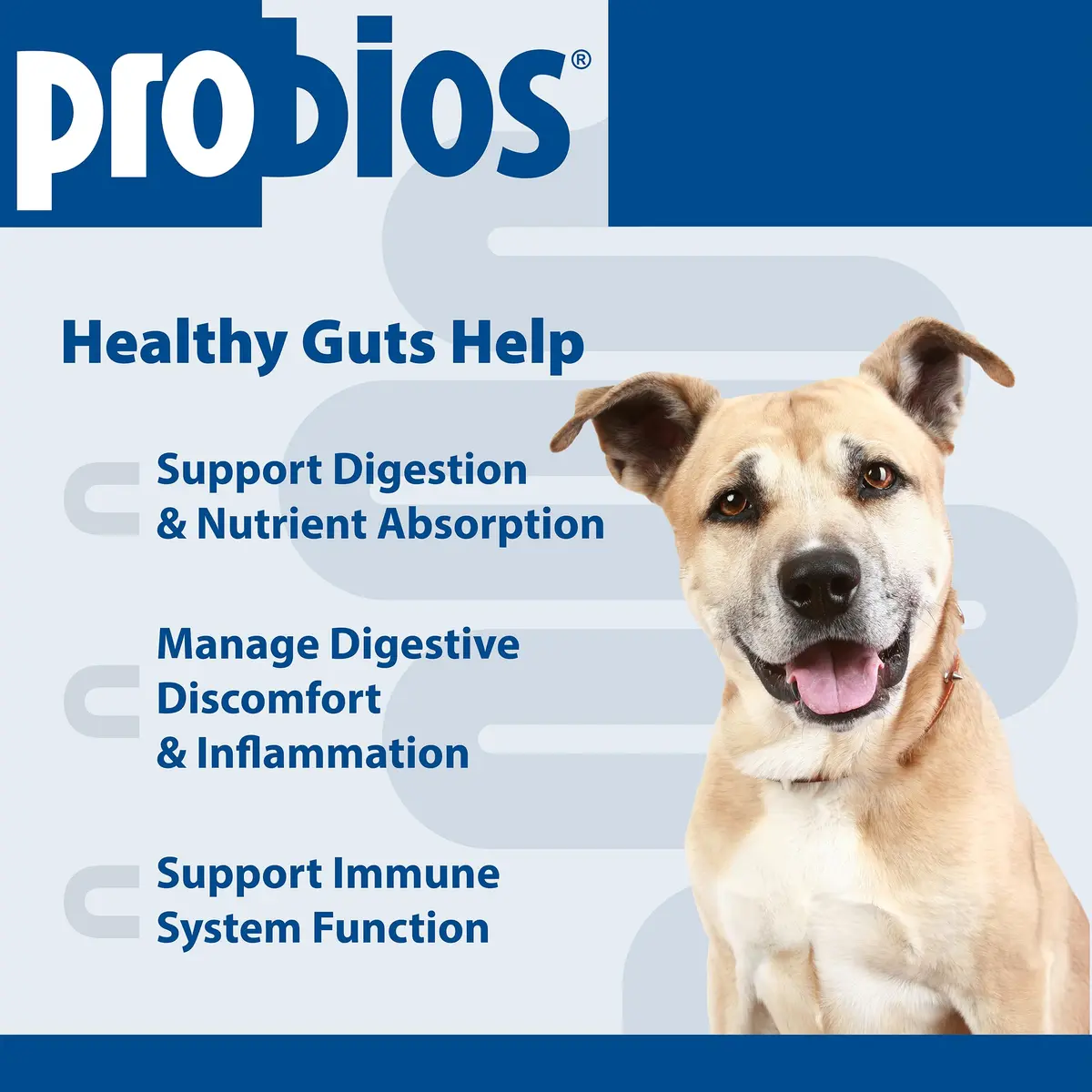 Probios Dog Probiotic Tablets, Chicken Liver, 45 Count | Supports Digestive & Immune Health - view 3