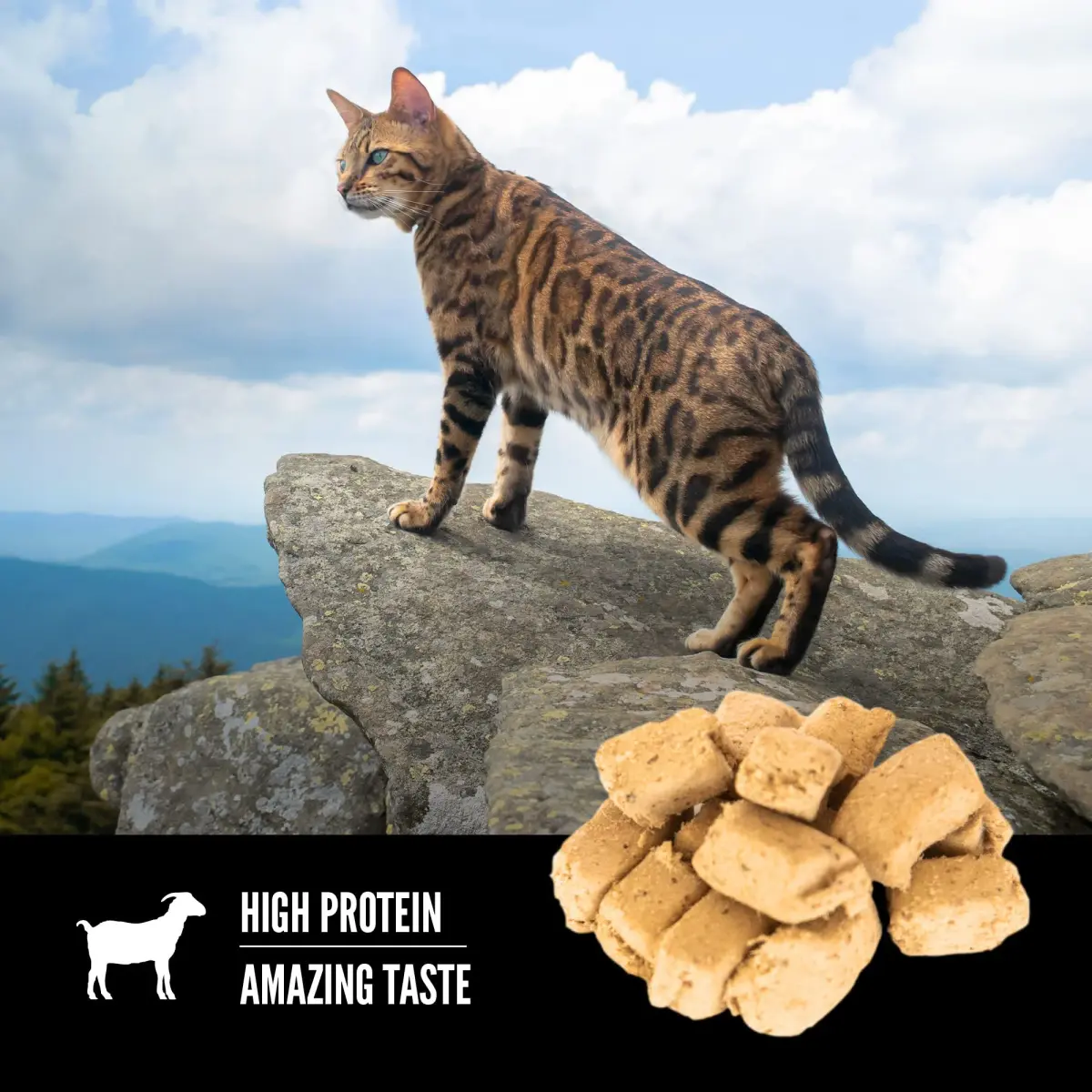 ORIJEN TUNDRA Freeze Dried Cat Treats 1.25oz (35g) | 99% Animal Ingredients, High Protein, 1 Calorie Each - view 3