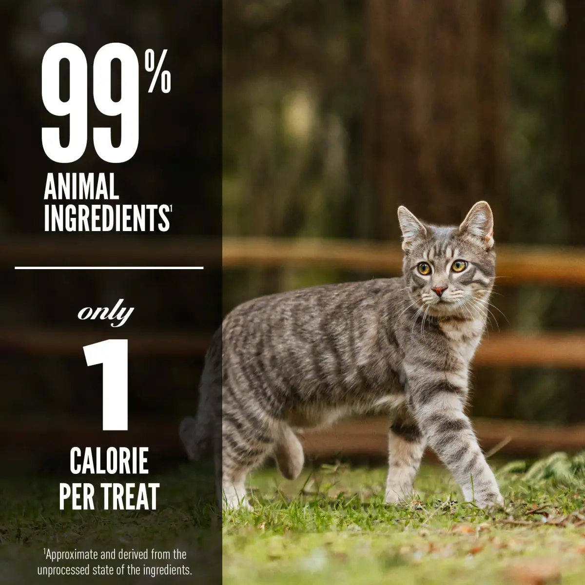 ORIJEN TUNDRA Freeze Dried Cat Treats 1.25oz (35g) | 99% Animal Ingredients, High Protein, 1 Calorie Each - view 4
