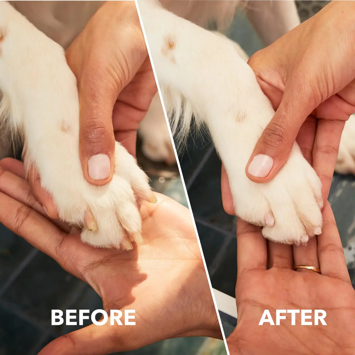 Dremel Pet Grooming Nail Guard Attachment, AT02-PGK | 45° Paw Guide for Gentle Nail Trimming - view 5
