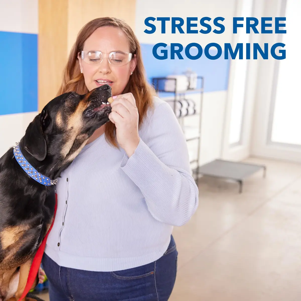 Dremel Pet Grooming Nail Guard Attachment, AT02-PGK | 45° Paw Guide for Gentle Nail Trimming - view 6