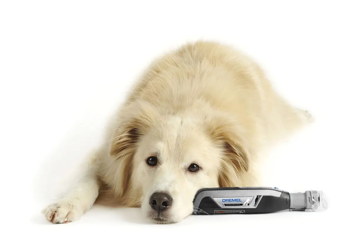 Dremel Pet Grooming Nail Guard Attachment, AT02-PGK | 45° Paw Guide for Gentle Nail Trimming - view 7