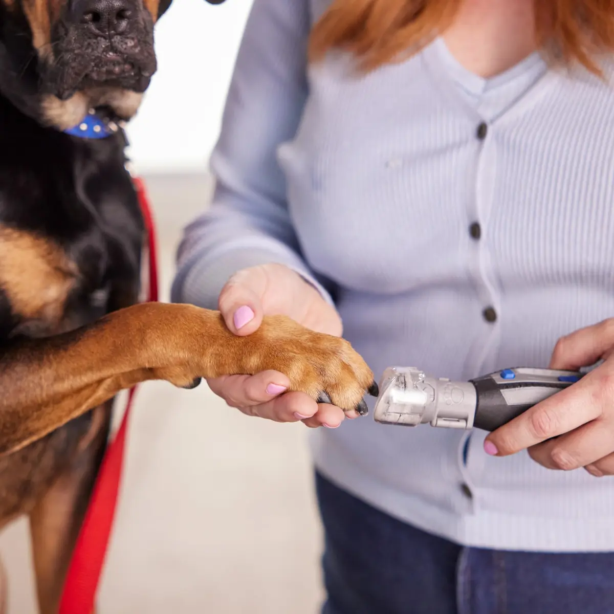 Dremel Pet Grooming Nail Guard Attachment, AT02-PGK | 45° Paw Guide for Gentle Nail Trimming - view 3