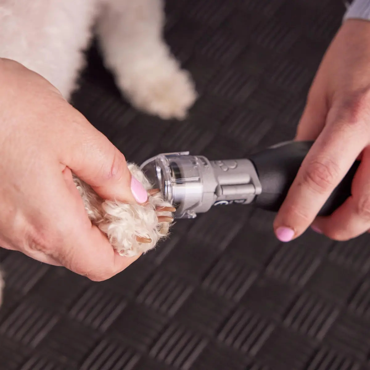 Dremel Pet Grooming Nail Guard Attachment, AT02-PGK | 45° Paw Guide for Gentle Nail Trimming - view 4