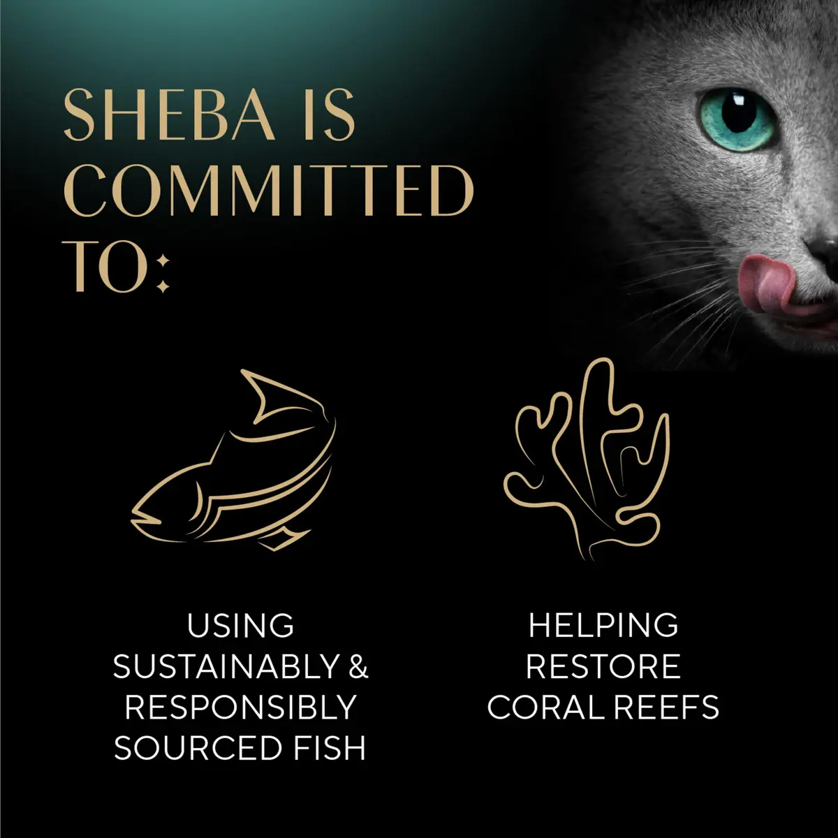Sheba Perfect Portions Wet Cat Food, Tuna, 2.6 oz | Grain-Free, Protein-Rich, Easy Peel Twin Pack - view 9