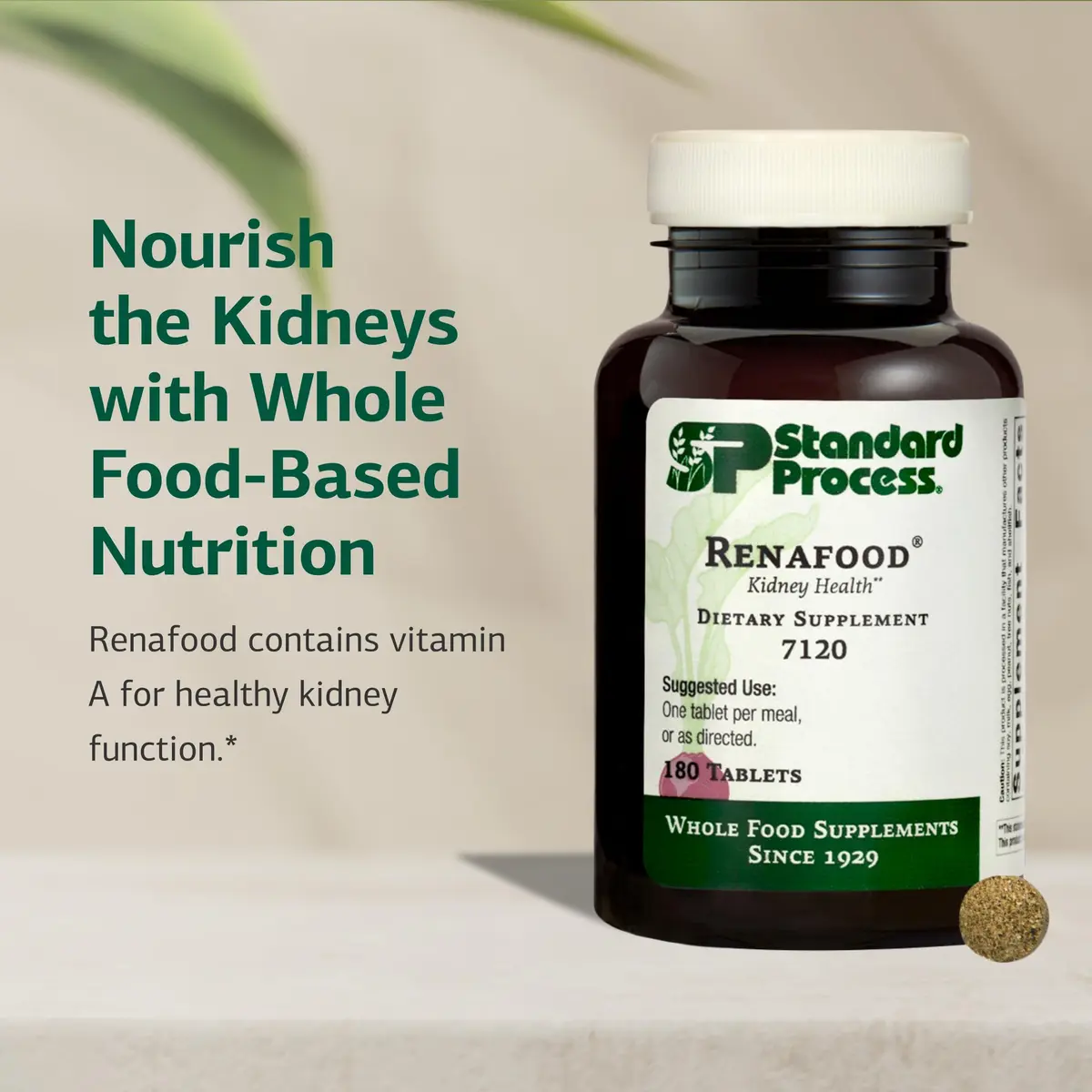 Standard Process Renafood Kidney Support Supplement 180 Tablets | Whole Food-Based Kidney Nutrition - view 3