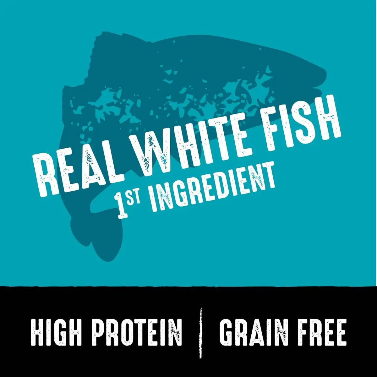 CRAVE Grain Free High Protein Adult Dry Dog Food, White Fish & Salmon, 12 lb. Bag | Protein-Rich, Grain-Free Nutrition for Dogs - view 2
