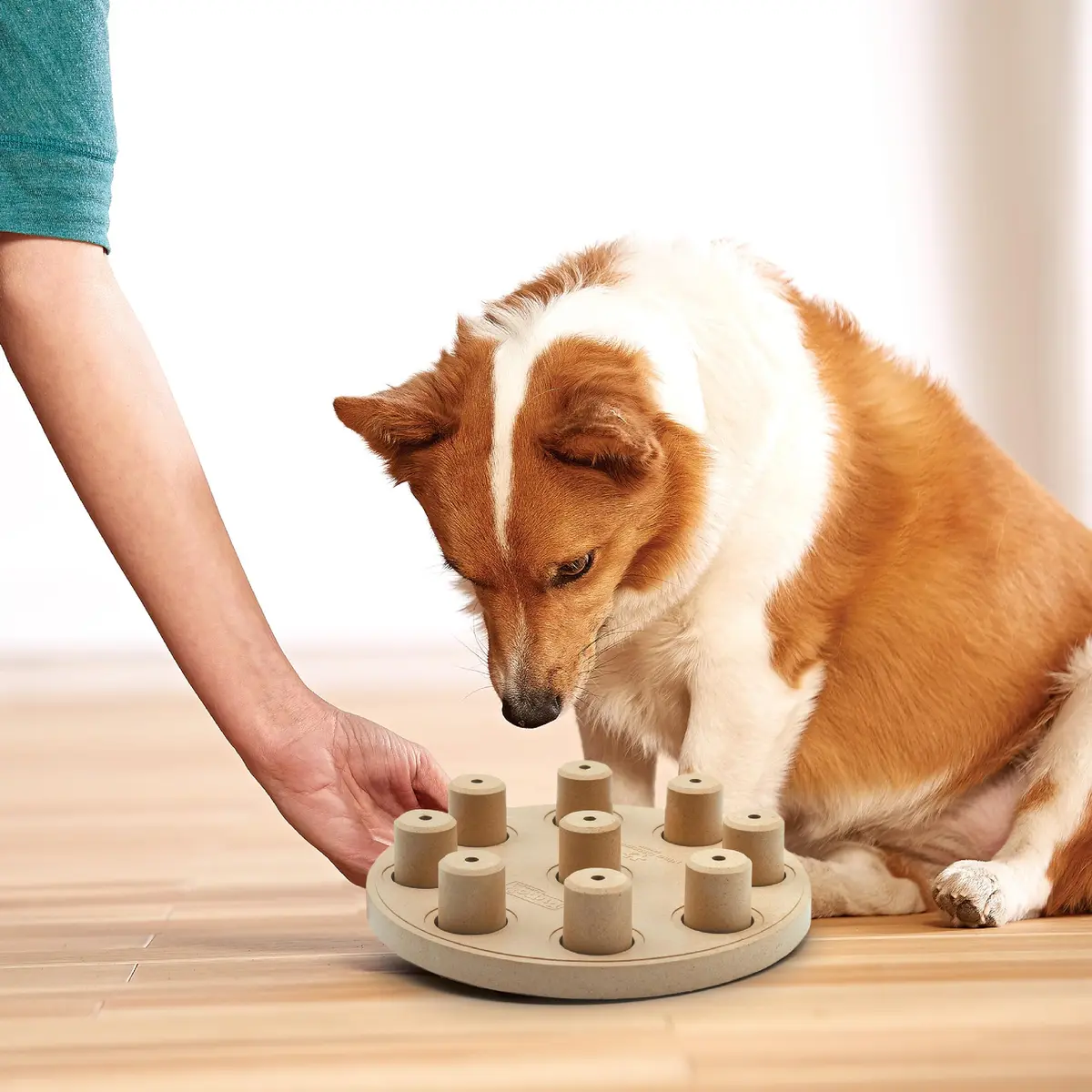 Outward Hound Dog Smart Treat Puzzle Level 1 Beginner Tan Composite | Mental Stimulation & Boredom Buster - view 5