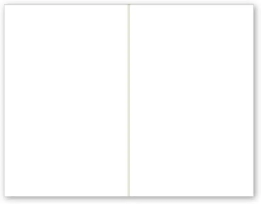 PACKZON Shipping Labels 8.5 x 11 Inches, White, 2000 Labels | Professional Grade, Smudge-Free - view 5
