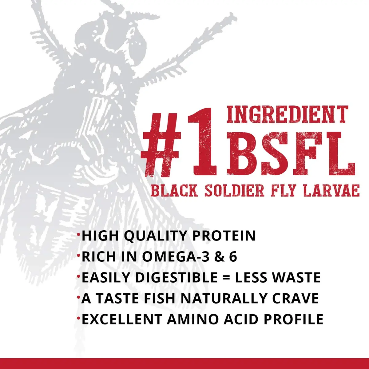Fluval Bug Bites Cichlid Fish Food 3.53 oz | Insect-Based, Nutrient-Rich Fish Diet - view 4