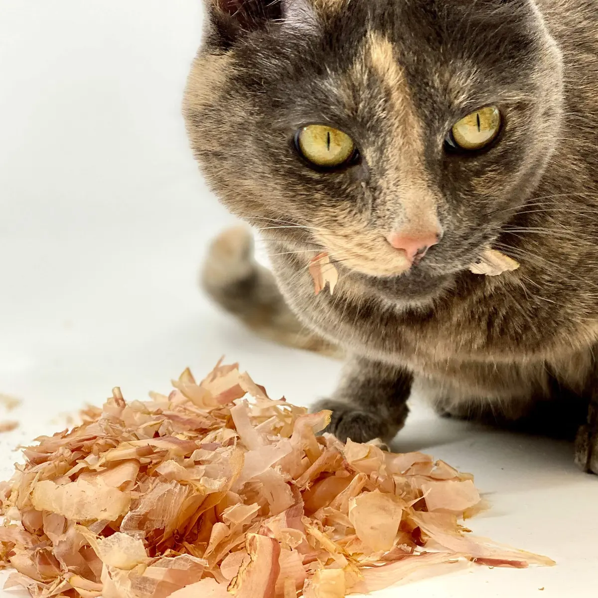 Cat Sushi Bonito Flakes Thick Cut 0.7 oz | Pure Japanese Tuna Treat for Cats - view 5