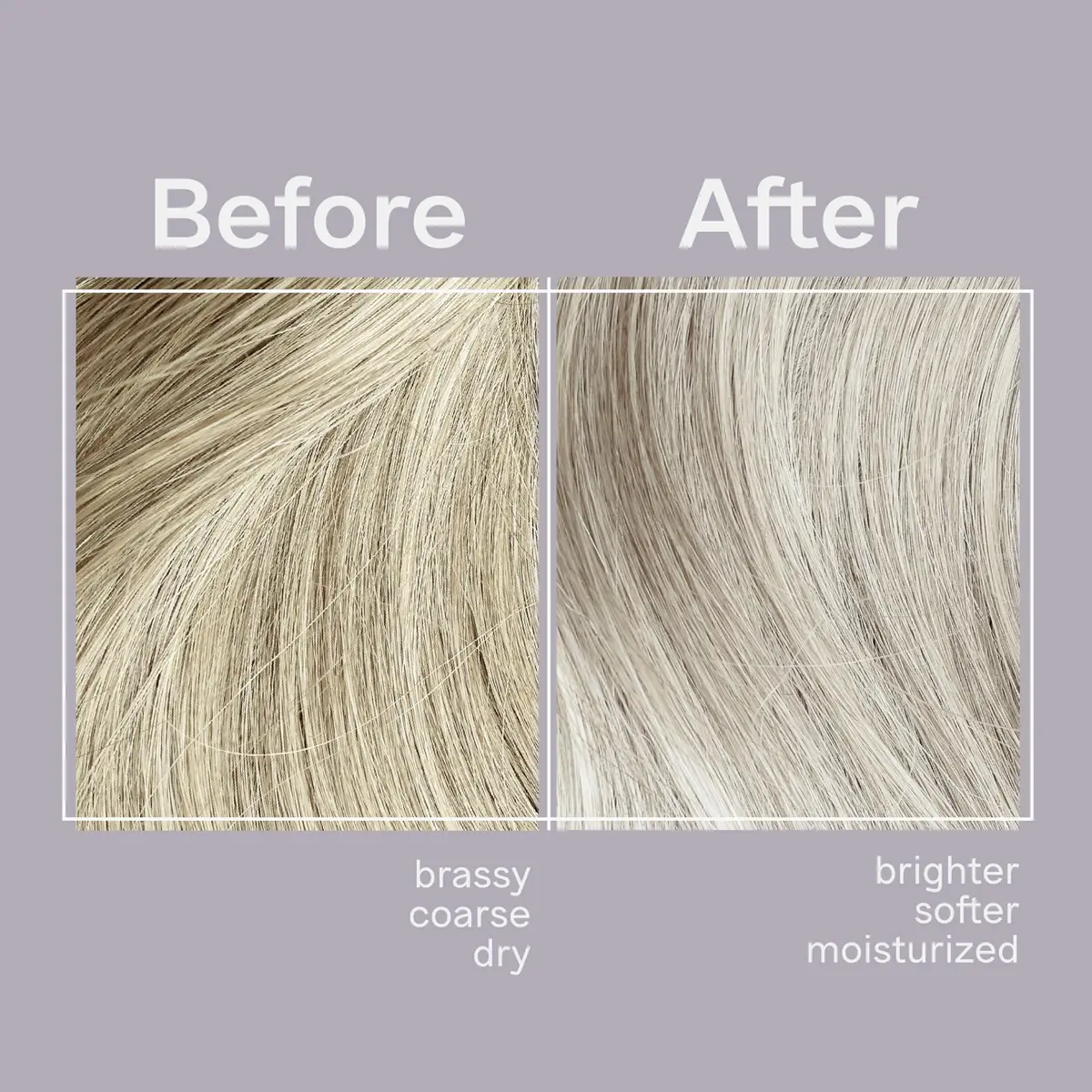 Jhirmack Silver Brightening Purple Shampoo & Conditioner Set, 12 oz | Brightens Gray & Silver Hair - view 2