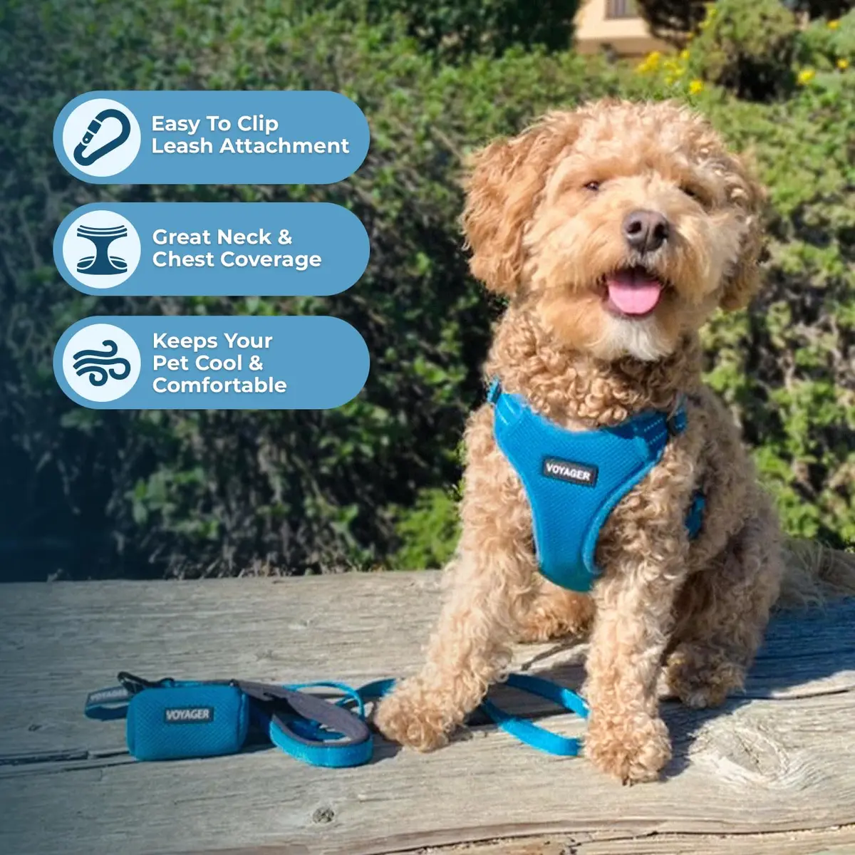 Best Pet Supplies Voyager Step-in Flex Dog Harness - Turquoise, Medium | Adjustable, Breathable & Reflective - view 5