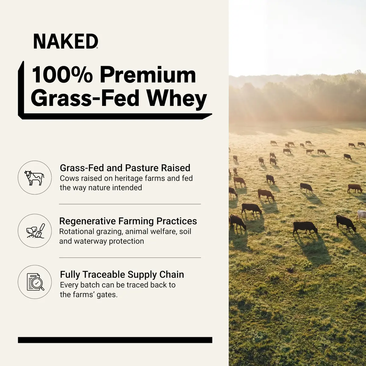 NAKED Whey Protein Powder 1 lb (454 g) | Grass-Fed, NSF Certified, 25g Protein Per Serving - view 2