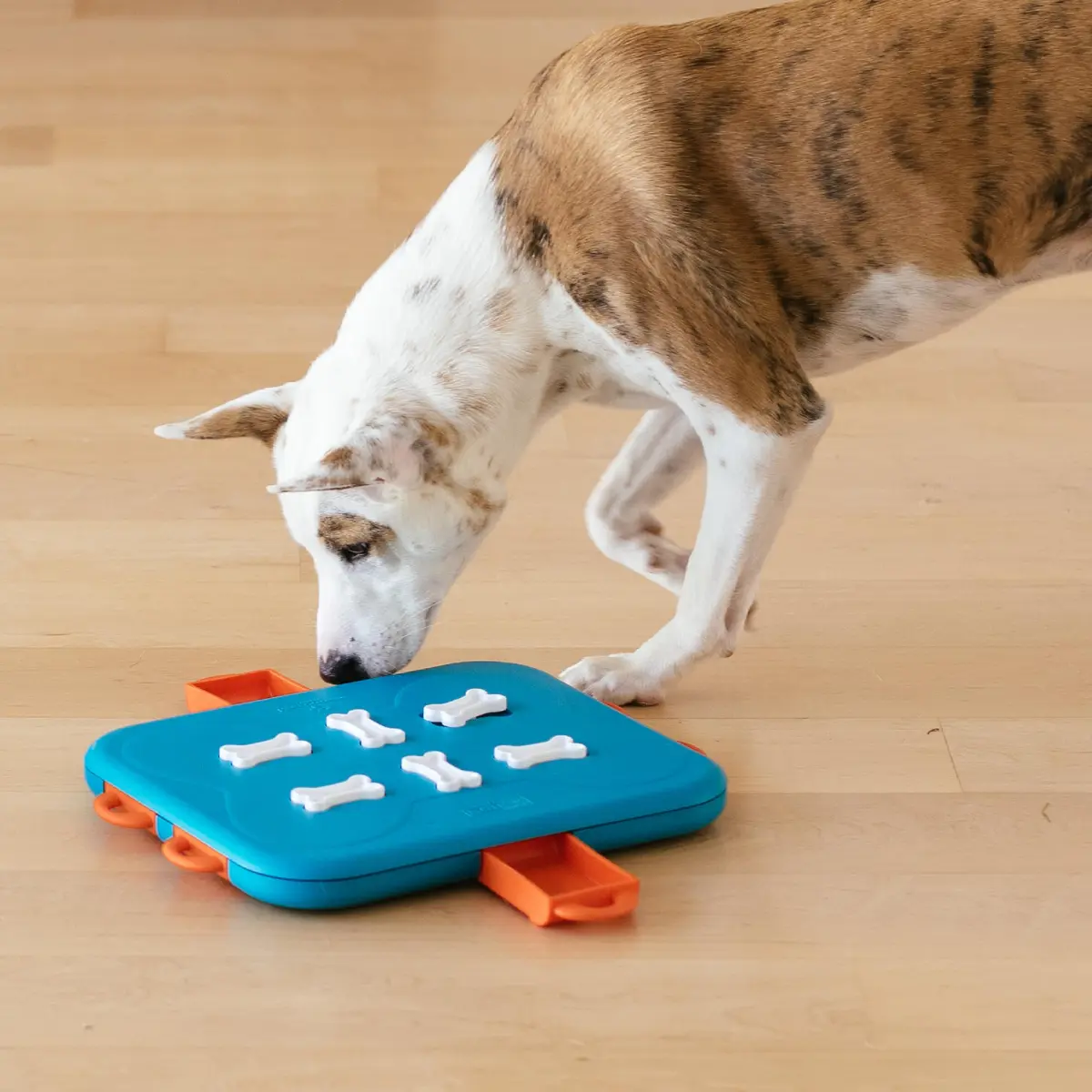 Outward Hound Nina Ottosson Dog Casino Treat Puzzle Toy 35.56 cm (14") | Advanced Level 3 Interactive Dog Enrichment - view 8