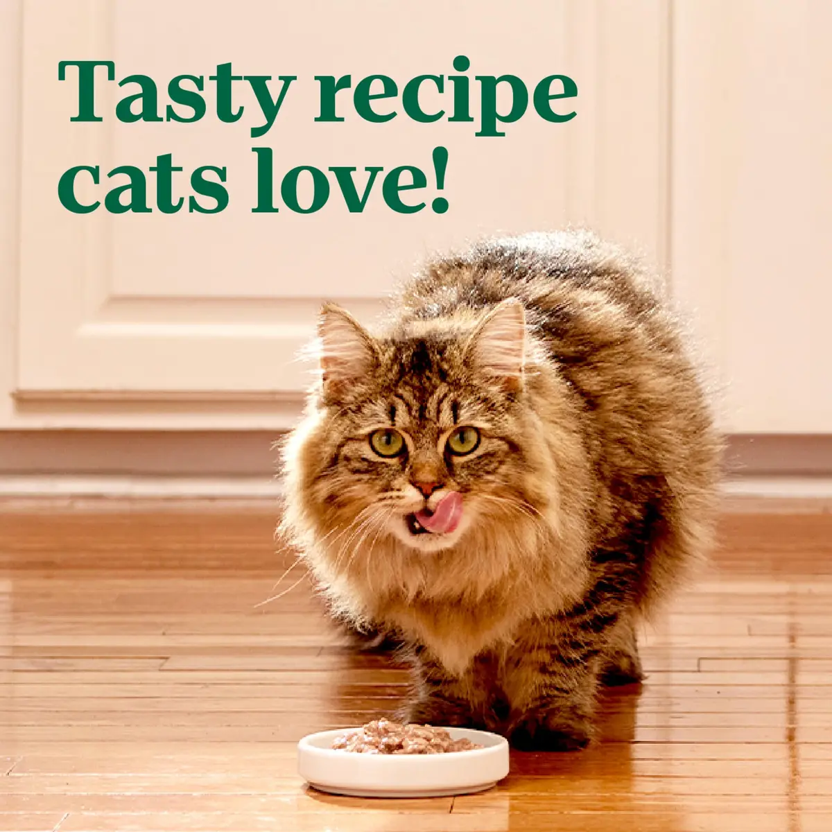 Nutro Perfect Portions Cuts Wet Cat Food, Tuna, 2.6 oz | Grain-Free, Moist & Complete Nutrition - view 8