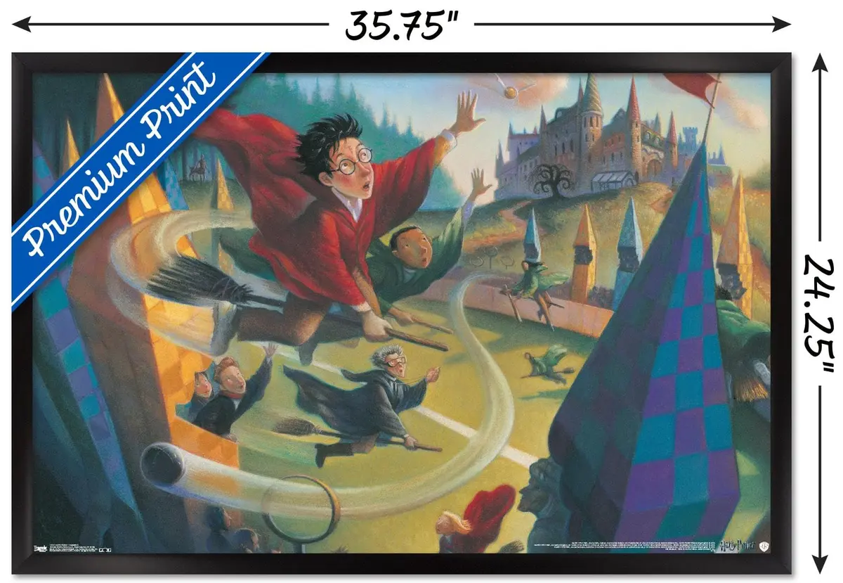 Trends International Wall Poster Harry Potter Quidditch 22.375 x 34 | Premium Satin Finish Wall Art - view 3