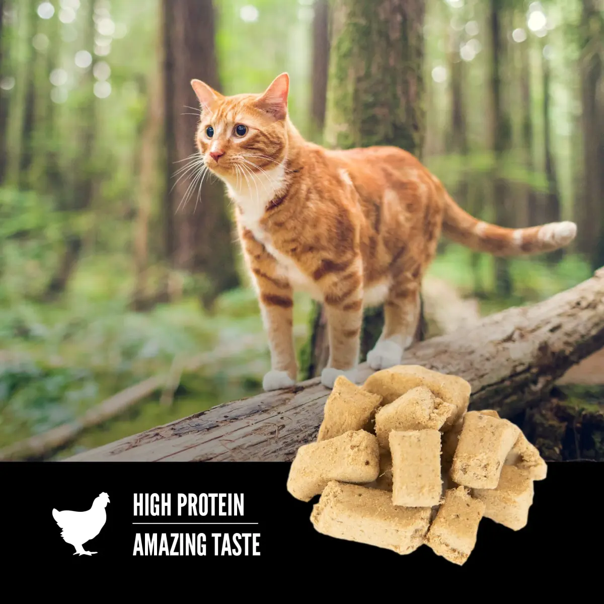 ORIJEN Original Freeze Dried Cat Treats 1.25 oz (35.4 g) | 99% Animal Ingredients, Grain-Free, High Protein - view 3