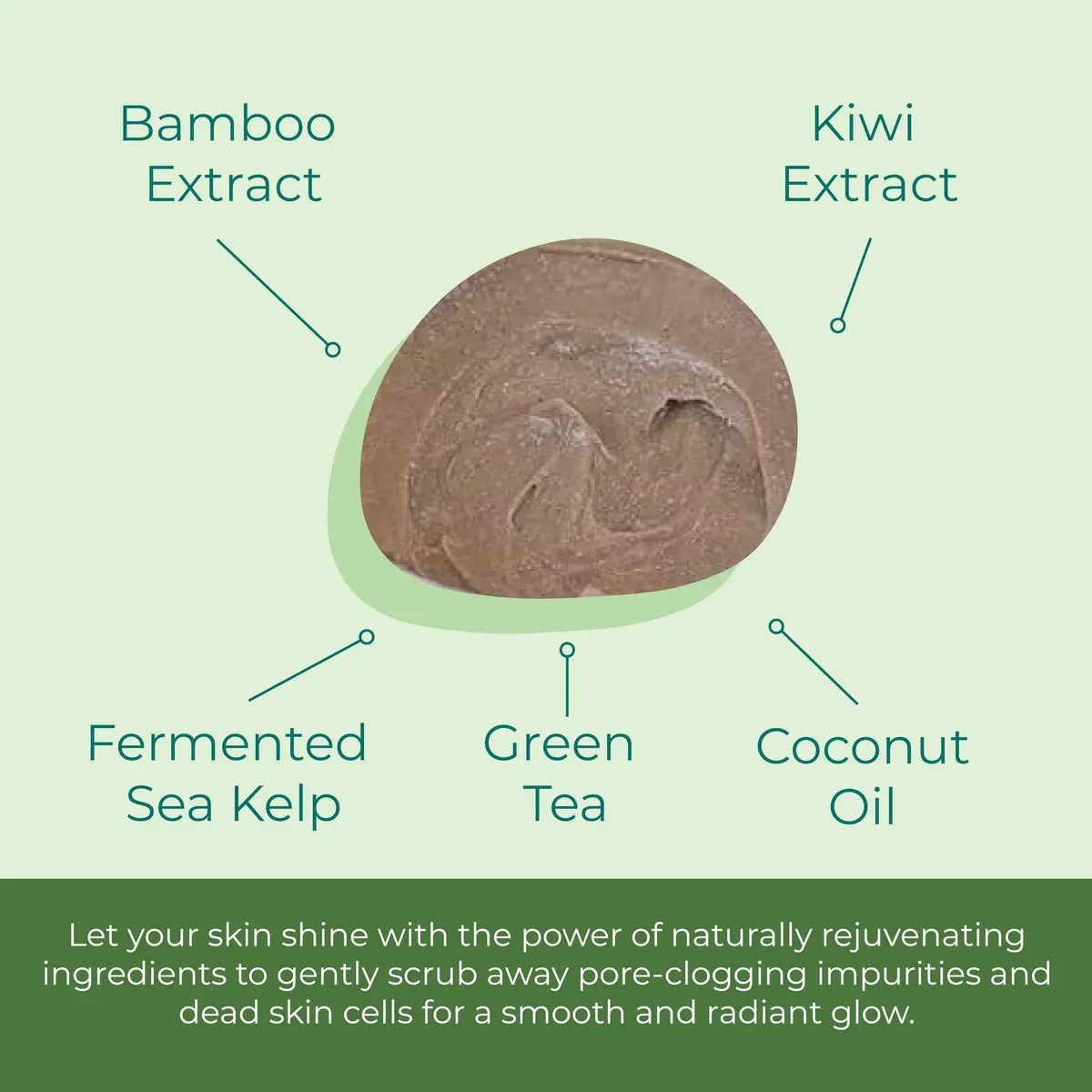 Sea-El Coconut Kiwi Exfoliating Face Scrub 4 Oz | Hydrating, Calming & Purifying - view 4