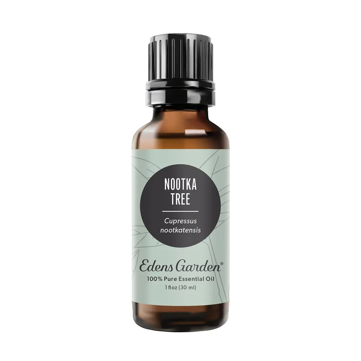 Edens Garden Nootka Tree Essential Oil 30 ml | Pure, Woody Aroma for Relaxation & Diffuser Use - main product image