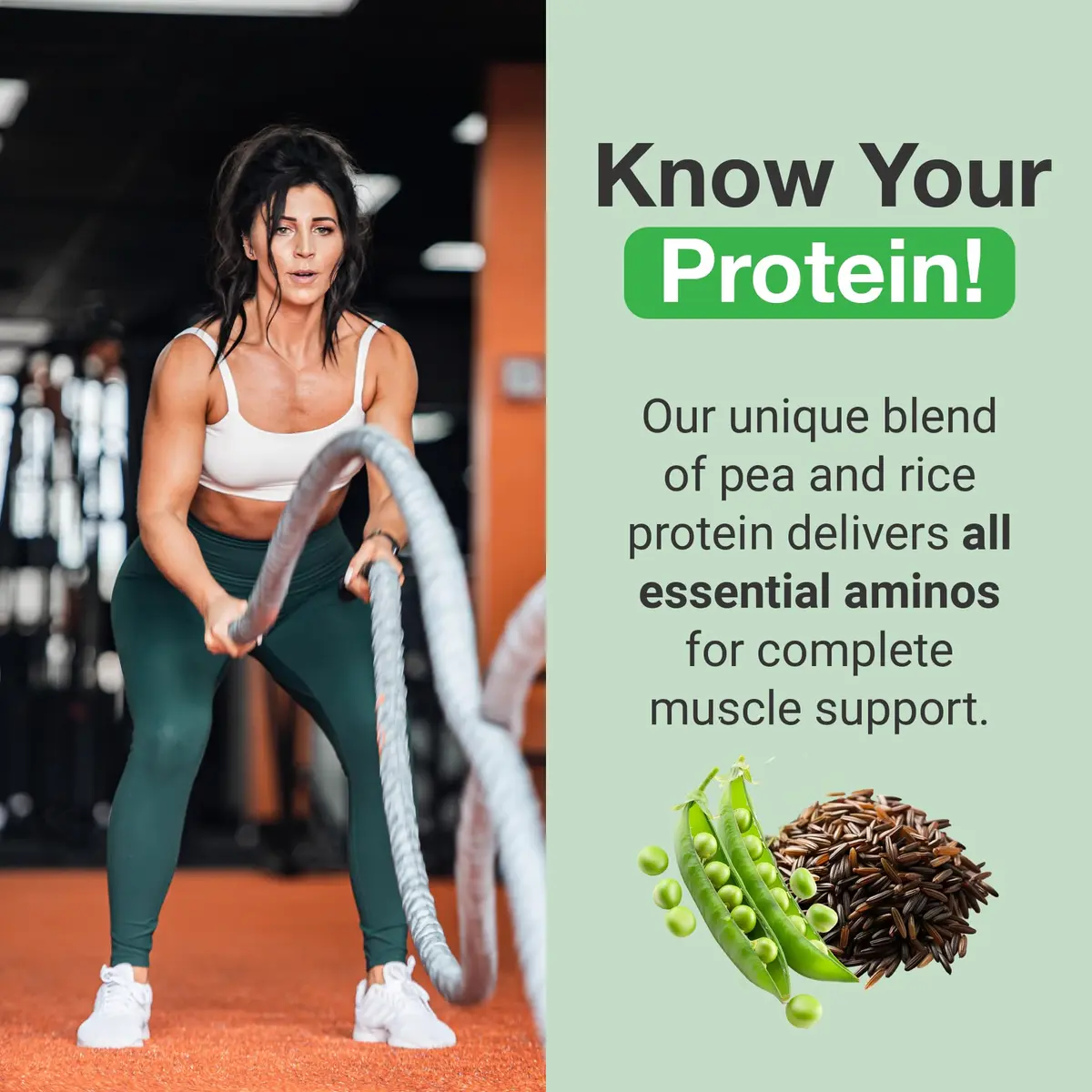 PEScience Select Vegan Protein Powder, Peanut Butter Delight, 27 Servings | Plant-Based, Dairy & Gluten Free - view 5