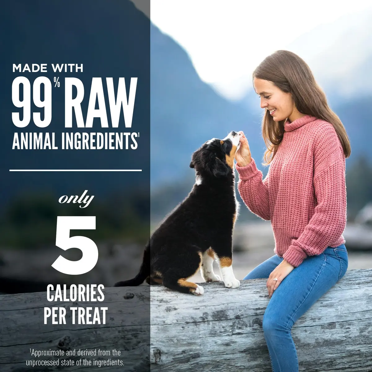 ORIJEN WHOLEPREY Freeze Dried Dog Treats Original Recipe 1.5oz | High Protein, Nutrient-Rich, USA Made - view 4