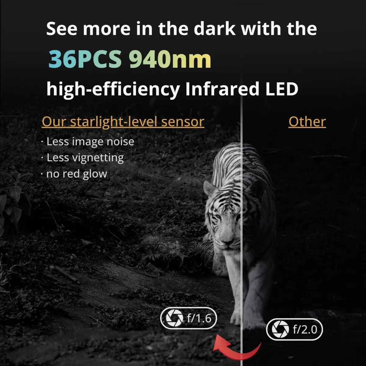 BLAZEVIDEO Trail Camera 64MP 1296P Video, 940nm No-Glow Night Vision, 70° Focused PIR Detection, 0.3s Trigger, 110° FOV, IP66 Cam - view 3