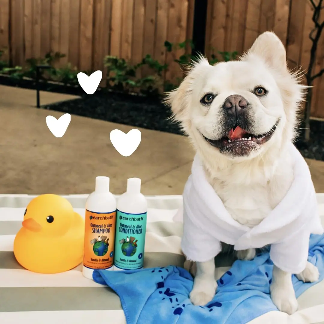 earthbath Oatmeal & Aloe Dog Shampoo and Conditioner 16 Oz | Itchy, Dry Skin Relief, Made in USA - view 5