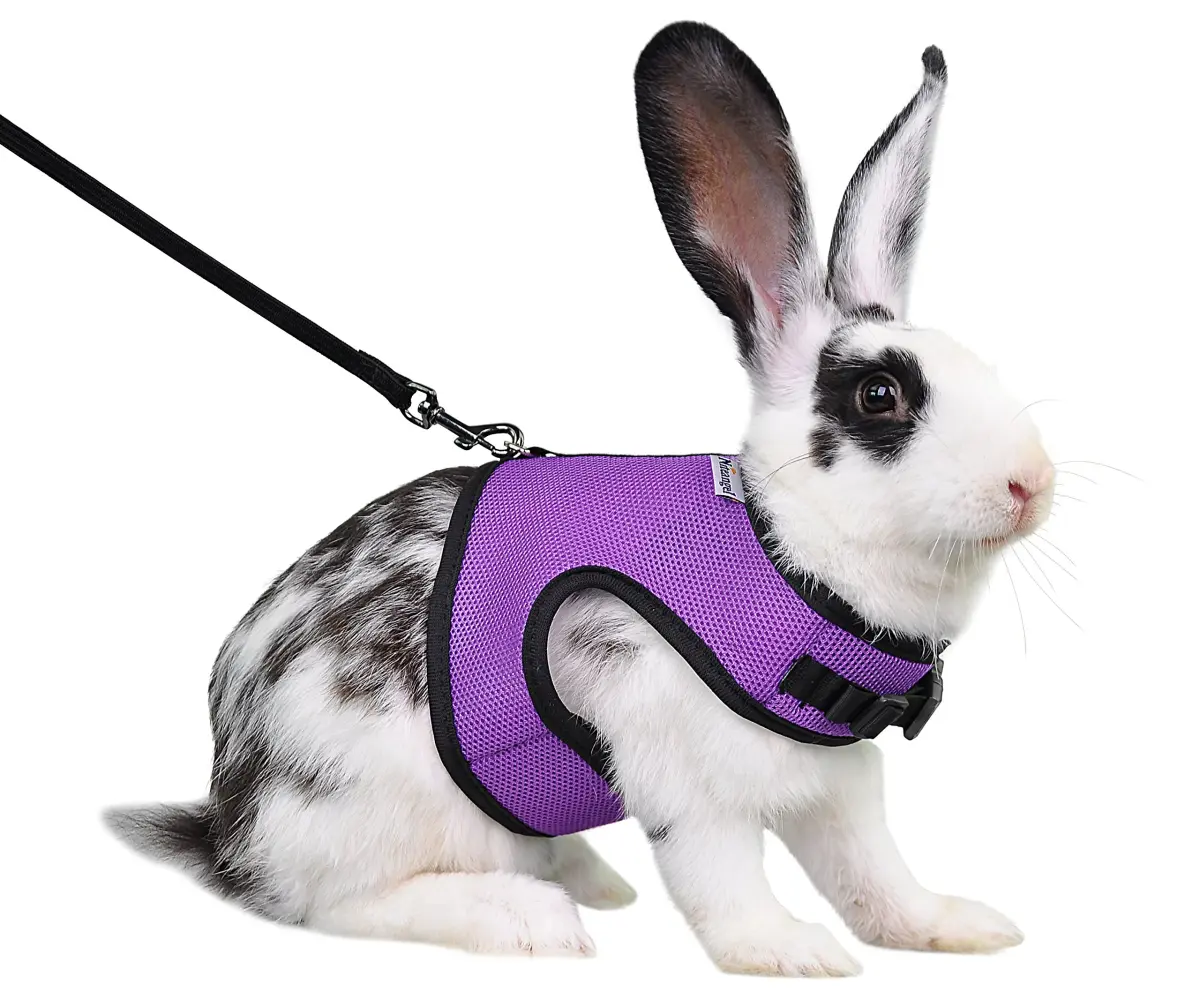 Niteangel Adjustable Soft Harness with Elastic Leash for Rabbits (L, Purple) | Escape-Proof & Breathable Mesh - main product image