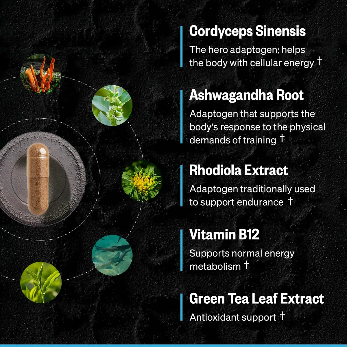 ONNIT Shroom Tech Sport Caffeine-Free Cordyceps Pre-Workout Capsules 28 Count | Supports Exercise Endurance - view 9
