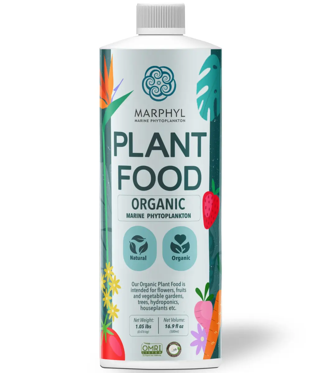 MARPHYL All-Purpose Plant Food – Organic Nutrient-Rich Fertilizer & Soil Enhancer for Indoor & Outdoor Flowers, Vegetables, Succulents, Bamboo & Hydroponics | Organic & Environmentally Safe - main product image