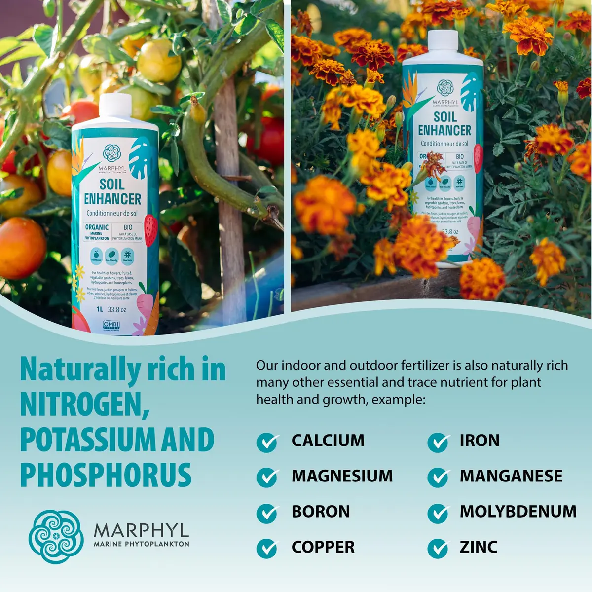 MARPHYL All-Purpose Plant Food – Organic Nutrient-Rich Fertilizer & Soil Enhancer for Indoor & Outdoor Flowers, Vegetables, Succulents, Bamboo & Hydroponics | Organic & Environmentally Safe - view 5