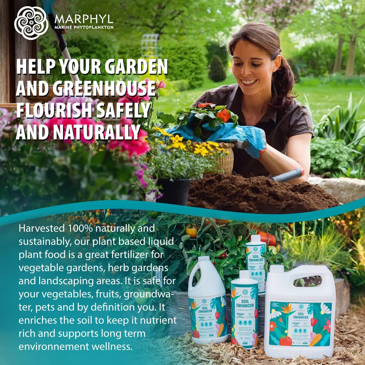 MARPHYL All-Purpose Plant Food – Organic Nutrient-Rich Fertilizer & Soil Enhancer for Indoor & Outdoor Flowers, Vegetables, Succulents, Bamboo & Hydroponics | Organic & Environmentally Safe - view 8