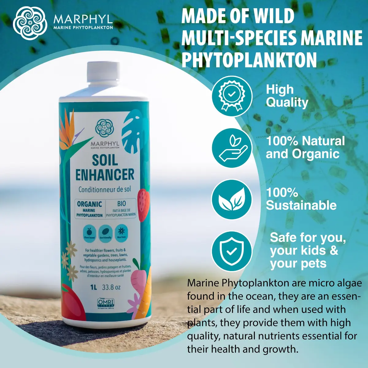 MARPHYL All-Purpose Plant Food – Organic Nutrient-Rich Fertilizer & Soil Enhancer for Indoor & Outdoor Flowers, Vegetables, Succulents, Bamboo & Hydroponics | Organic & Environmentally Safe - view 3
