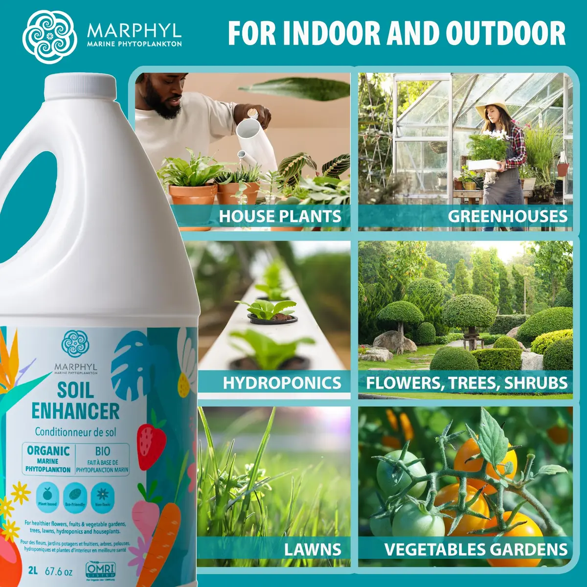 MARPHYL All-Purpose Plant Food – Organic Nutrient-Rich Fertilizer & Soil Enhancer for Indoor & Outdoor Flowers, Vegetables, Succulents, Bamboo & Hydroponics | Organic & Environmentally Safe - view 4