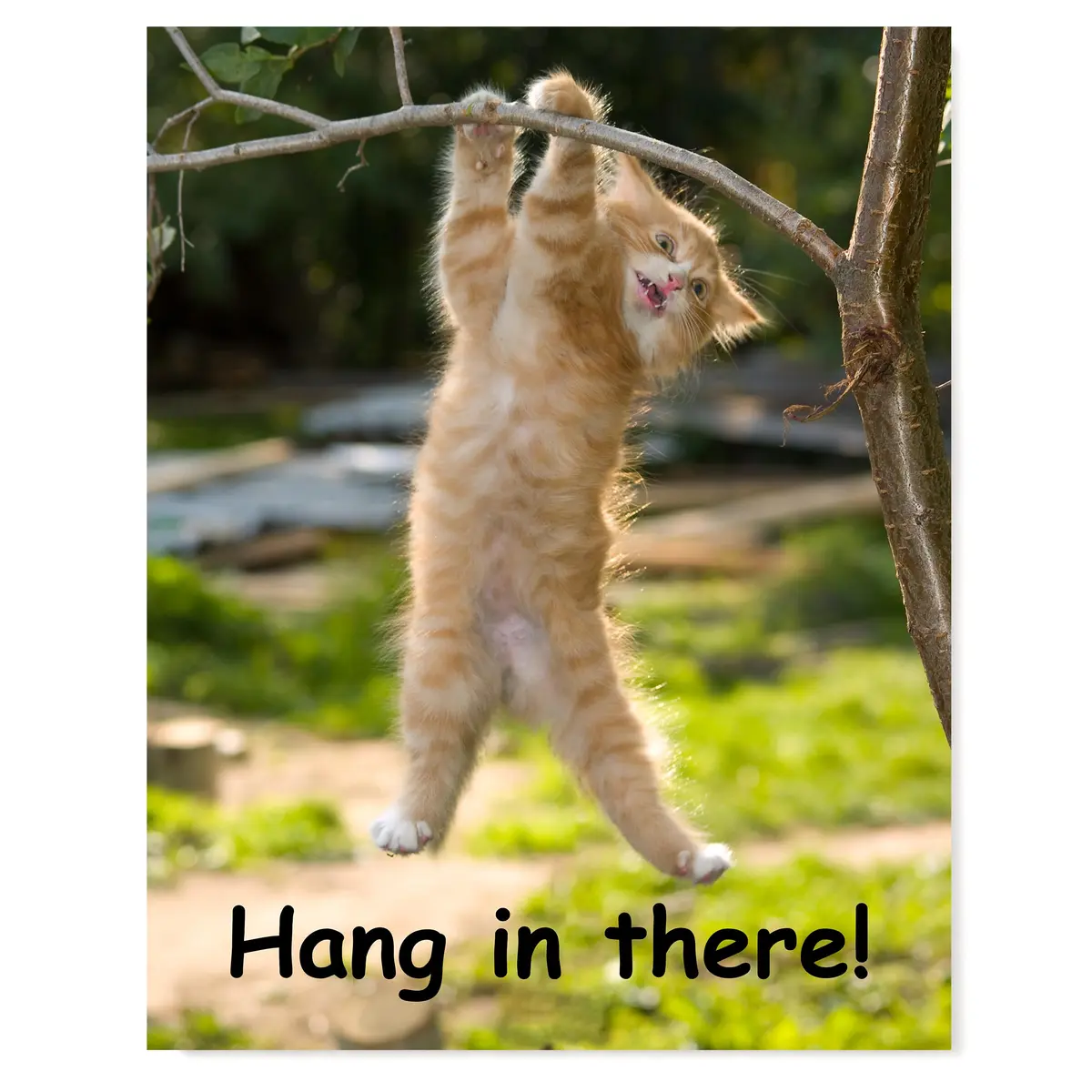 HoneyKICK Hang in There Cat Poster, Funny Motivational Wall Art, 11x14 - main product image