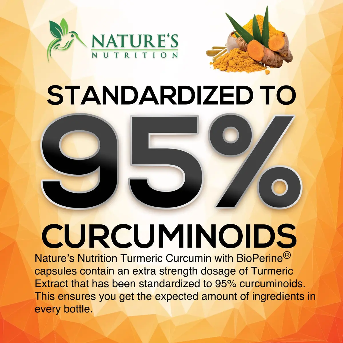 Nature's Nutrition 2400mg vegan herbal supplement | Organic turmeric & BioPerine for joint & immune support - view 3