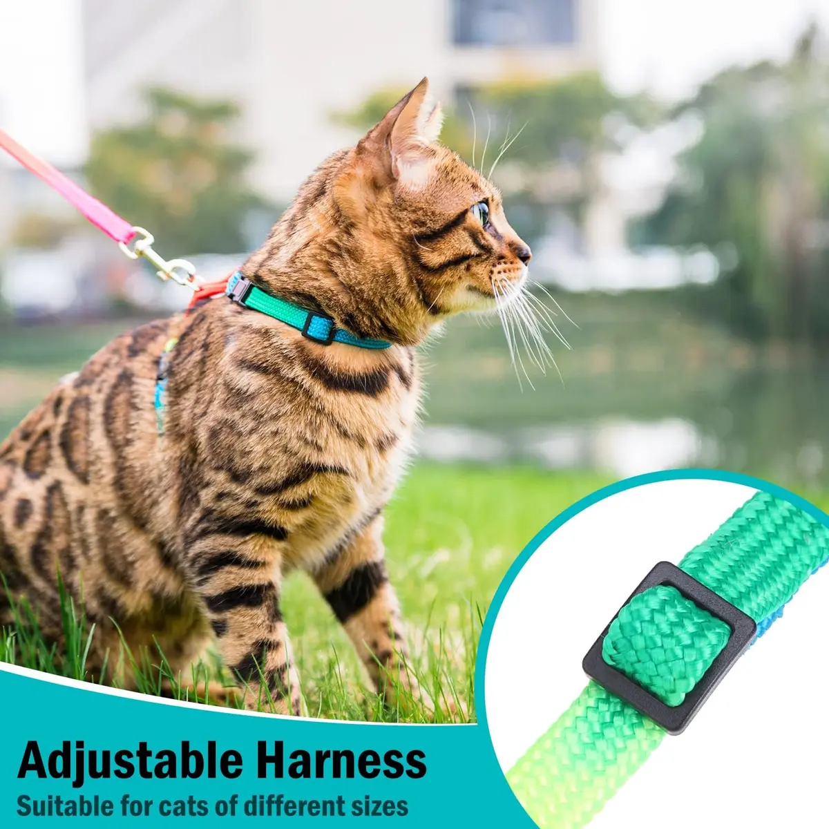 PUPTECK Adjustable Cat Harness and Leash Set | Escape Proof Kitten Strap Collar for Walking & Travel, Multicolor - view 5