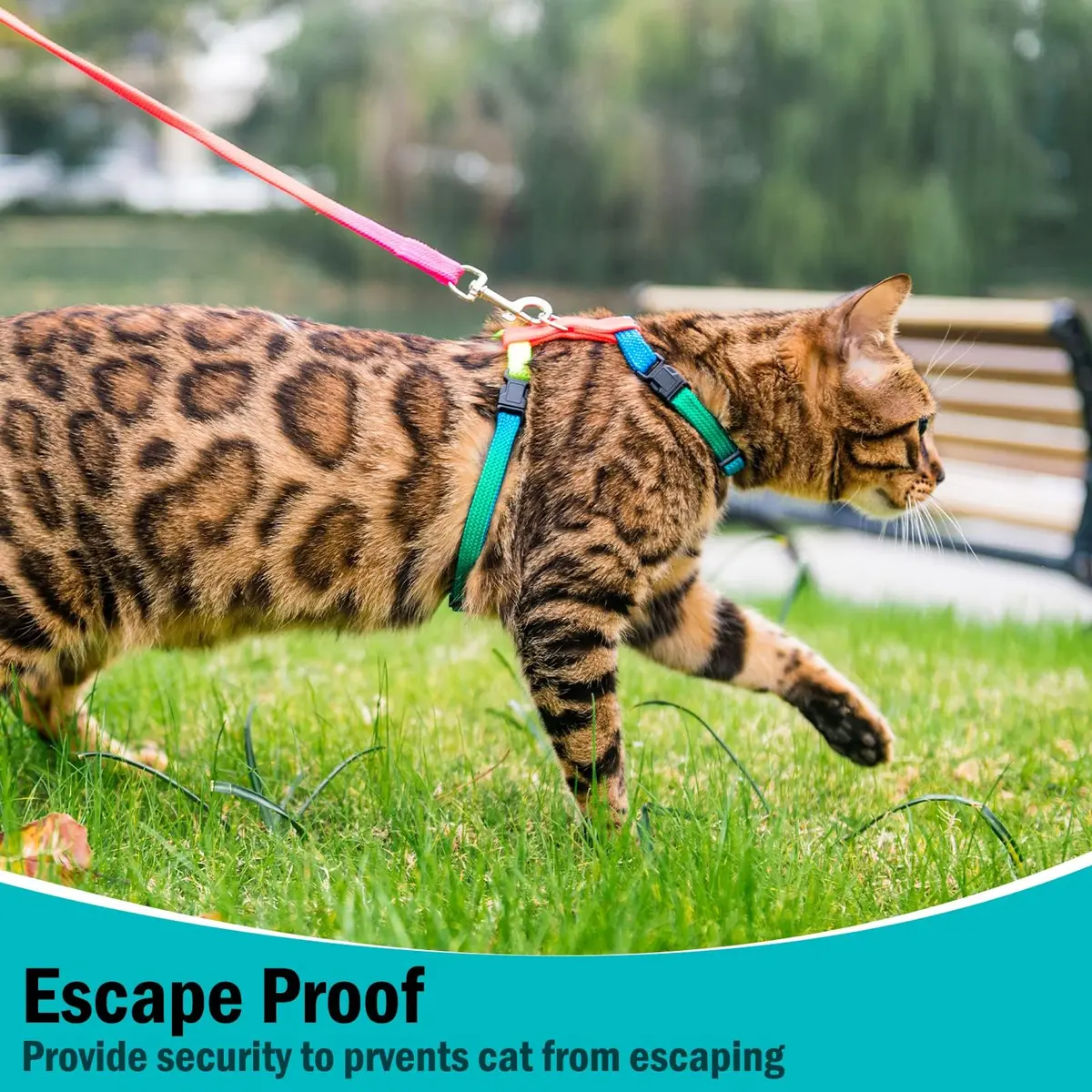 PUPTECK Adjustable Cat Harness and Leash Set | Escape Proof Kitten Strap Collar for Walking & Travel, Multicolor - view 6